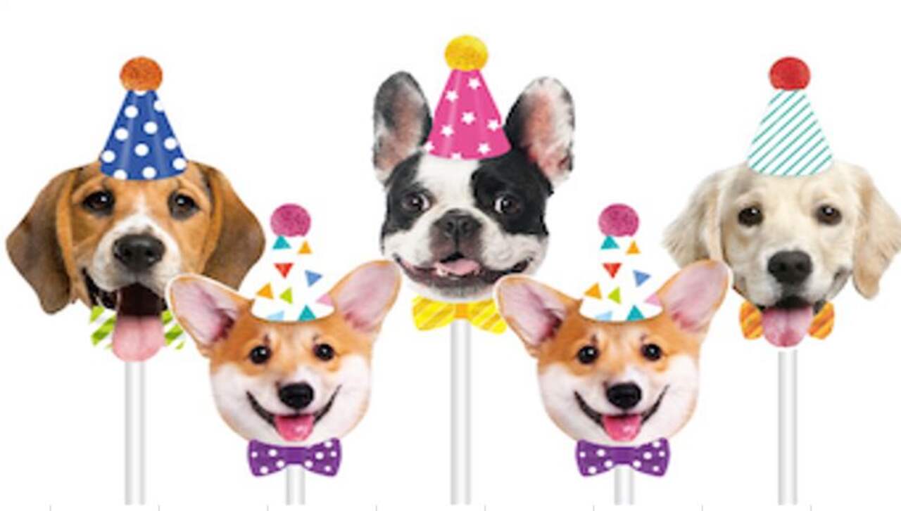 Party Dogs Shape Candles 5 pk