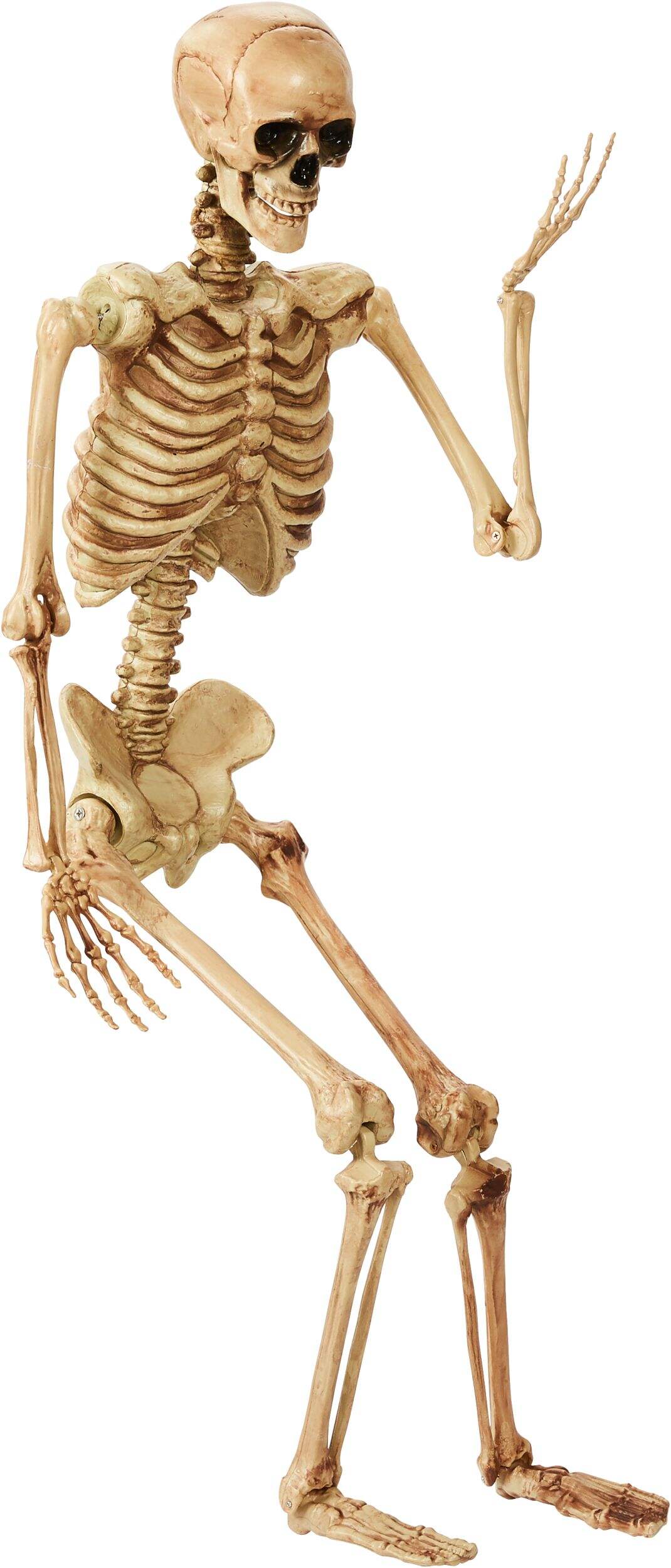 Décoration squelette articulé en plastique à suspendre, 5 pi Front_Angled_Right