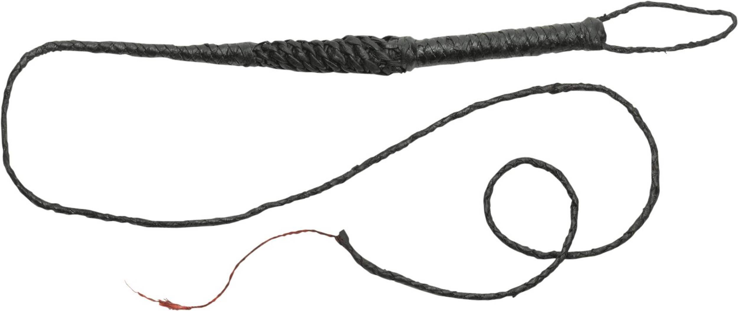 Forum Novelties Black Whip, 8-ft Overhead_Flat