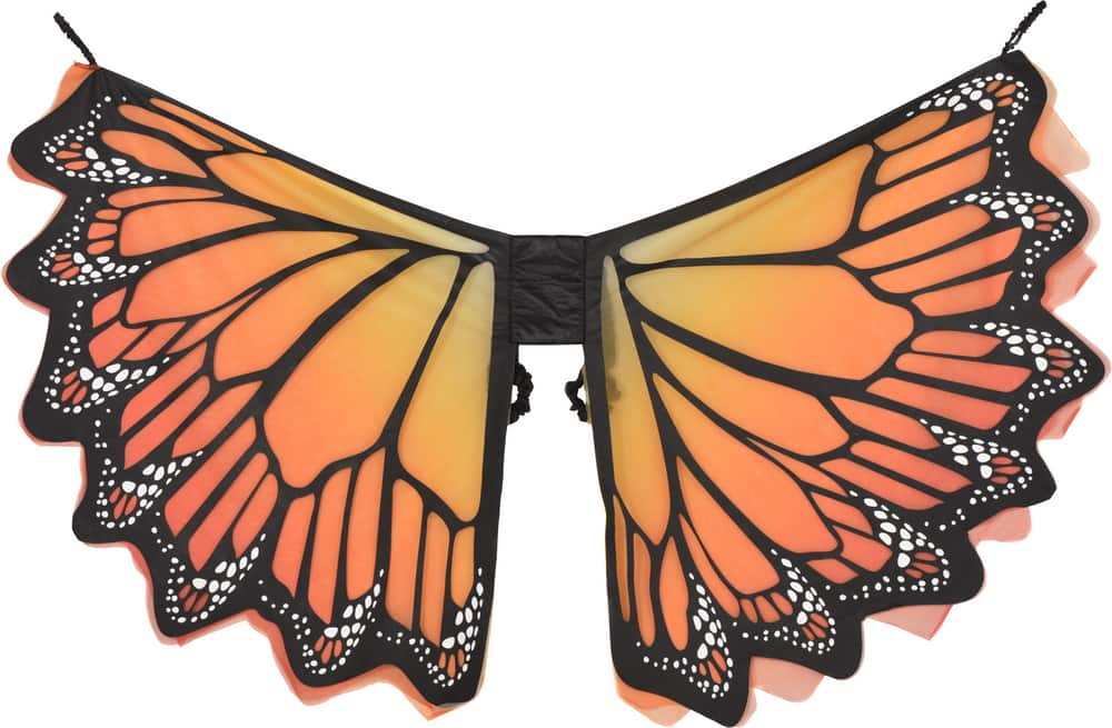 Adult Monarch Butterfly Wings, Multicolour, One Size | Canadian Tire