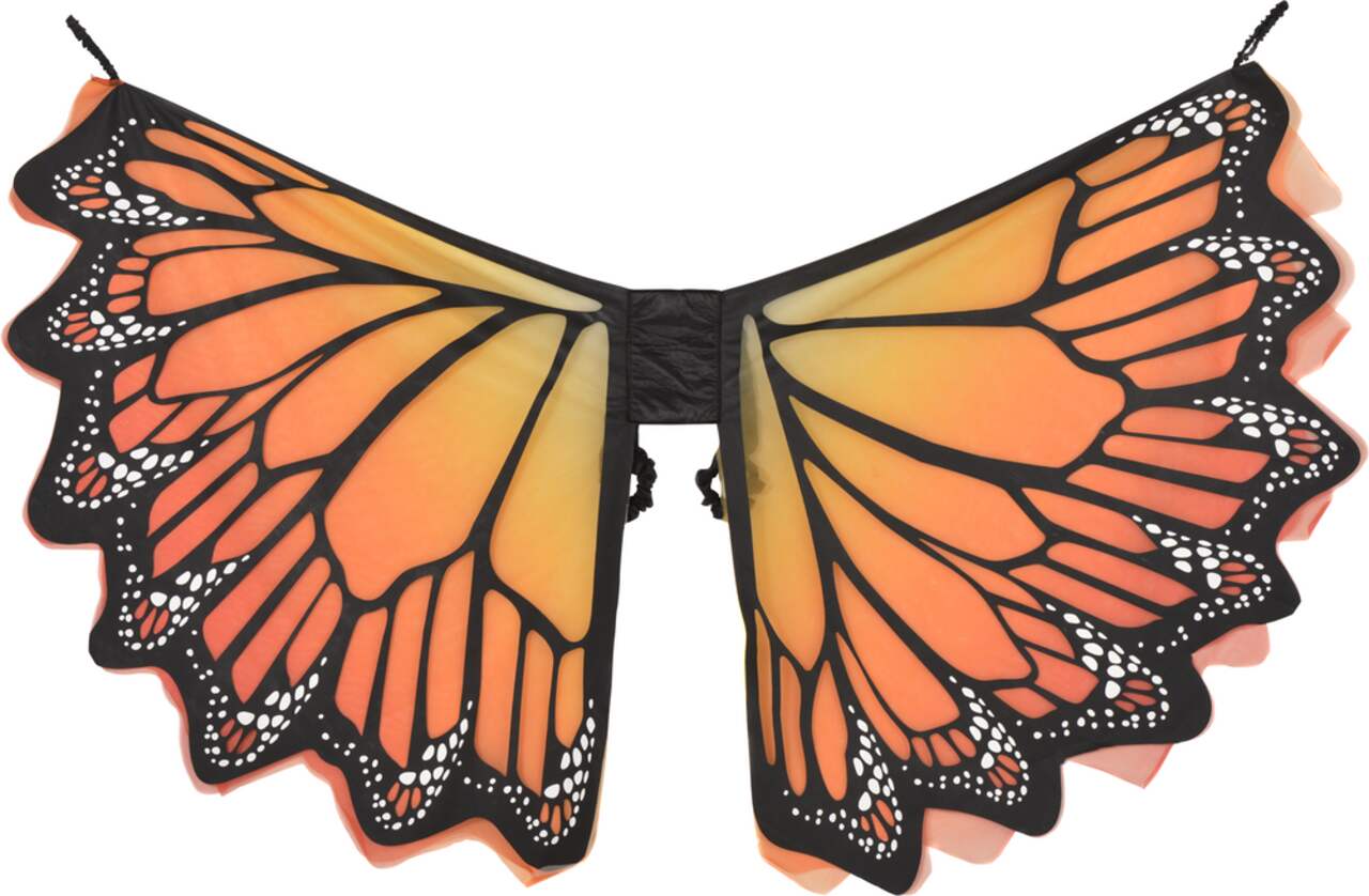 Monarch Butterfly Wings, Orange/Black, One Size, Wearable Costume Accessory  for Halloween
