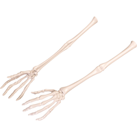 Forum Novelties Skeleton Hand Servers, 13-in, 2-pk Front_Angled_Left