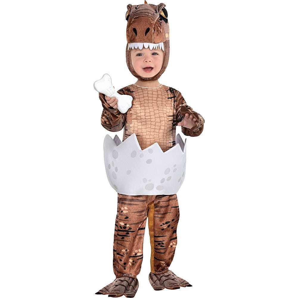 3 month 2024 dinosaur costume