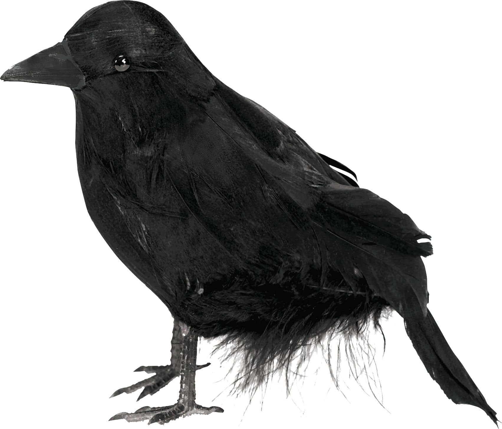3 pièces anti-pigeon / épouvantail faux corbeau / corbeau noir 38 cm