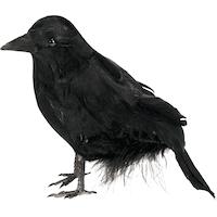 Raven Prop, Black, 4-in, Indoor/Outdoor Decoration for Halloween Side_Left