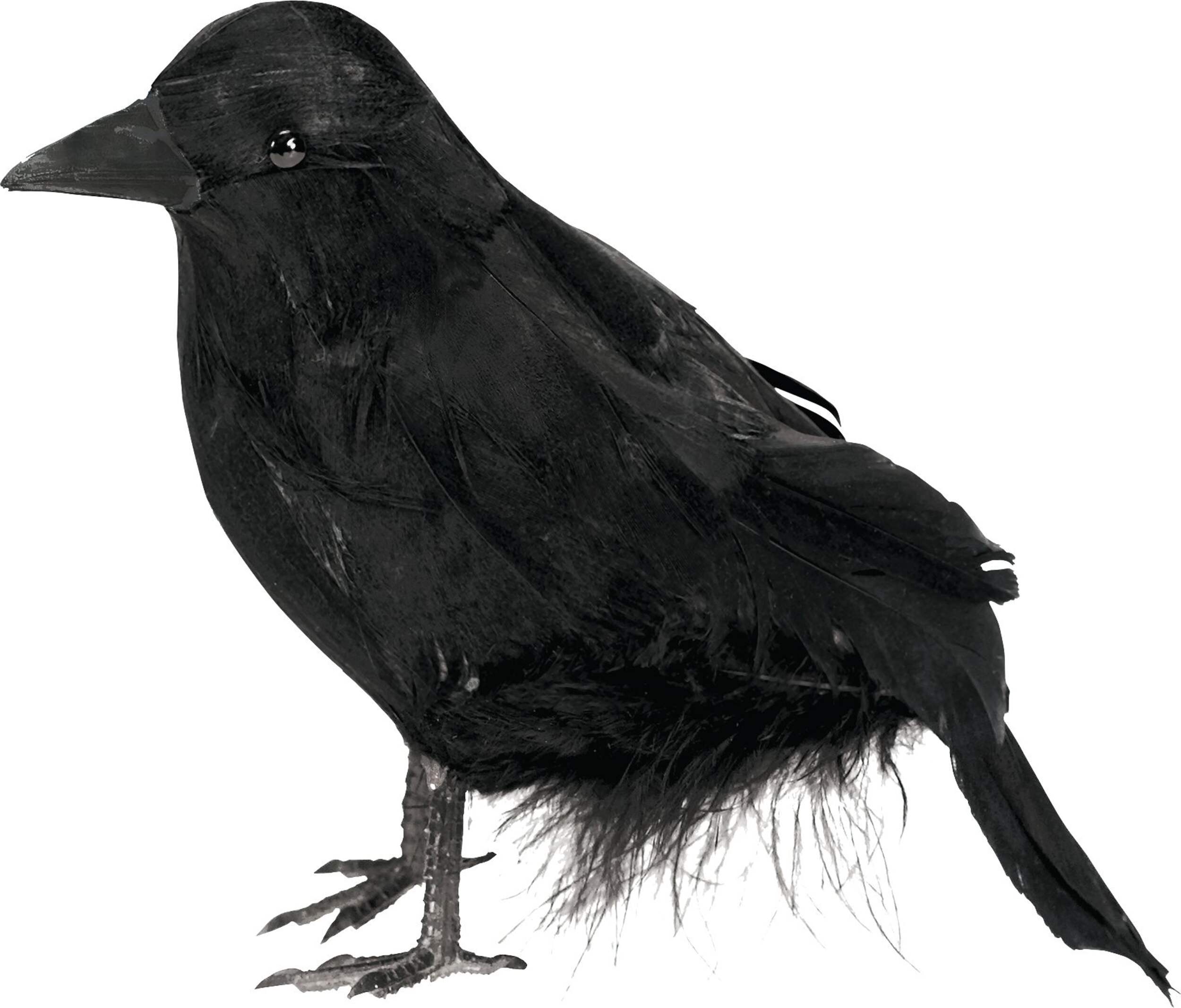 Raven Prop, Black, 4-in, Indoor/Outdoor Decoration for Halloween Side_Left