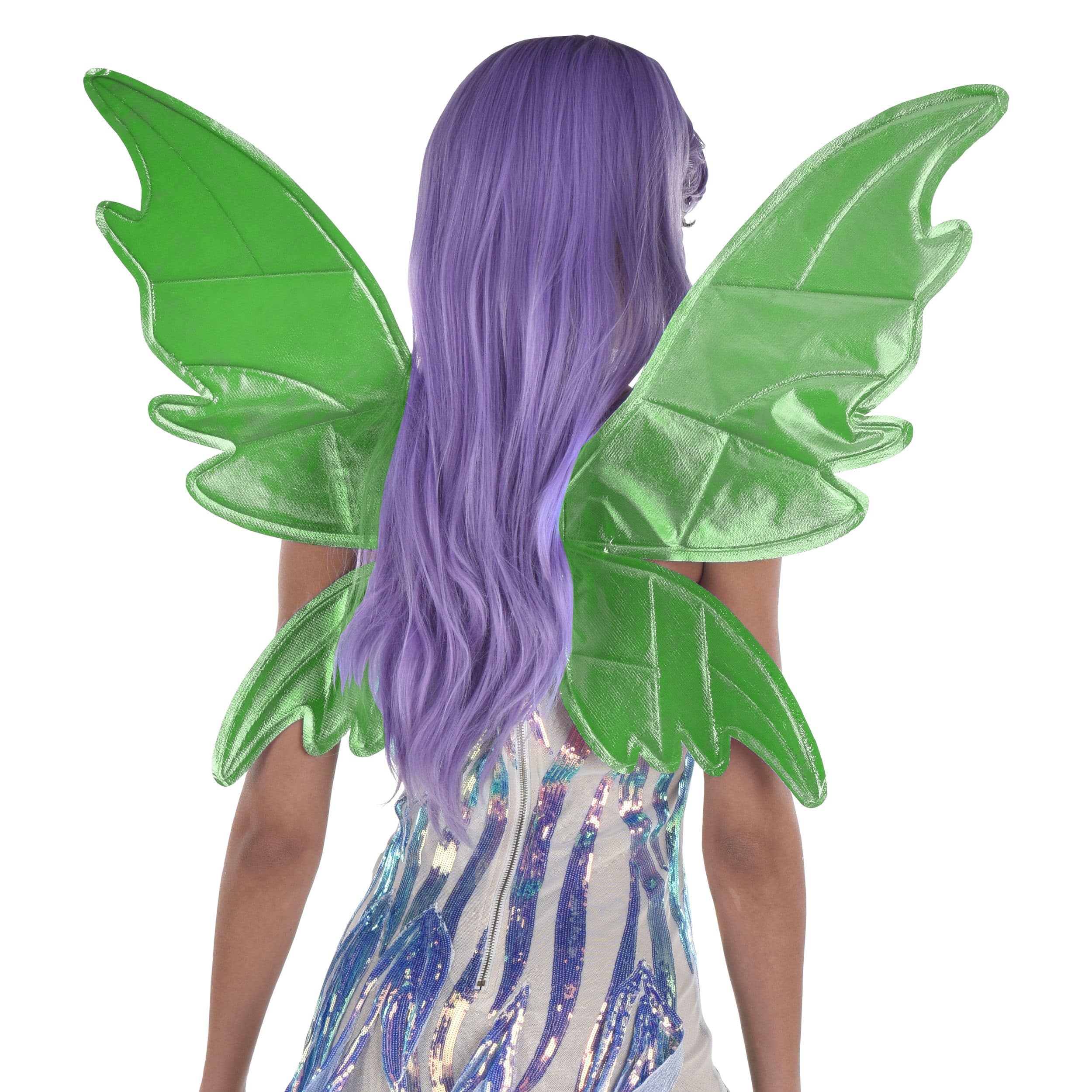 Buy Fairy Costume - toddler sized - green wings