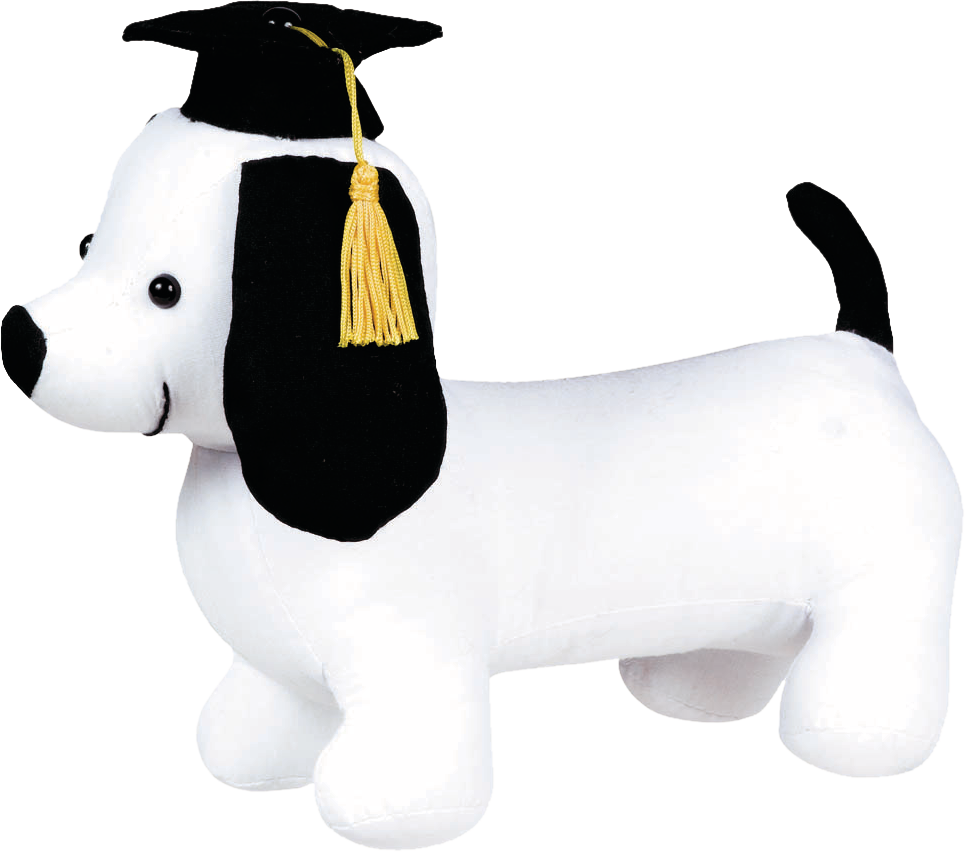Graduation autograph dog white party city