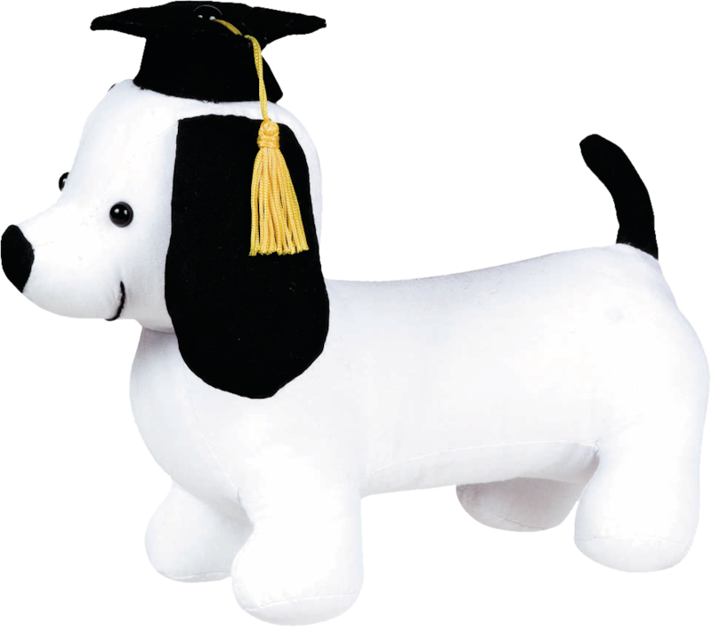 Graduation Autograph Dog, White Party City