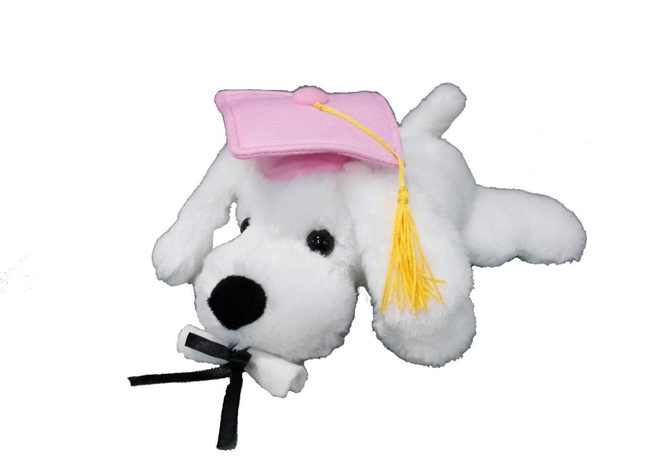 Grad Dog Plush, White/Pink, 8.5-in
