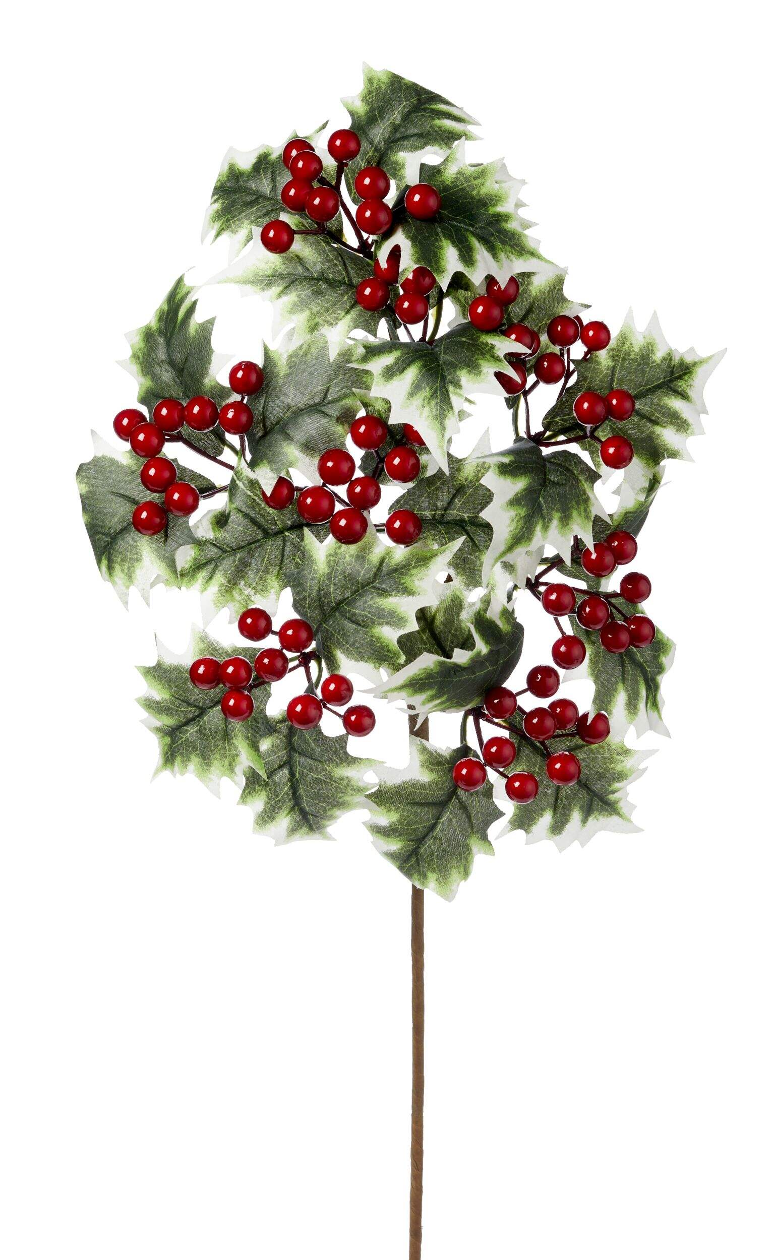 CANVAS Holly & Berries Spray Front_Flat
