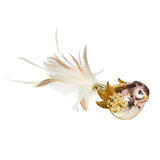 Ornement de Noël en forme d'oiseau en verre avec queue à plumes CANVAS Collection Jardin d'hiver Front_Angled_Right