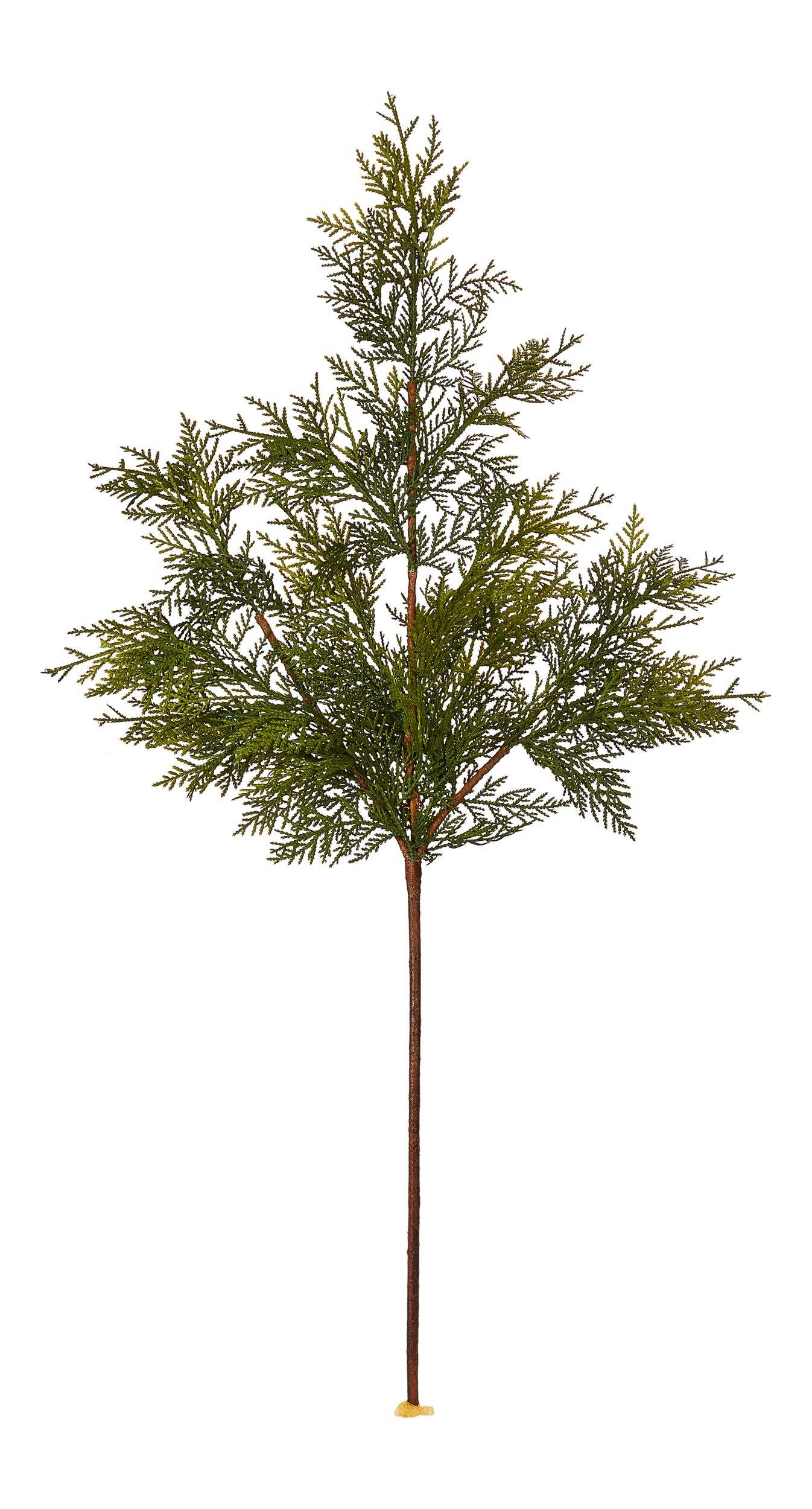 CANVAS Un-Lit Indoor Christmas Decoration Natural Cedar Stem Spray, 36-in Front_Flat