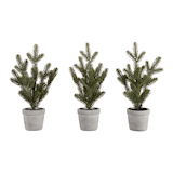 CANVAS Mini Trees in Ceramic Pots, 3-pk Front_Flat
