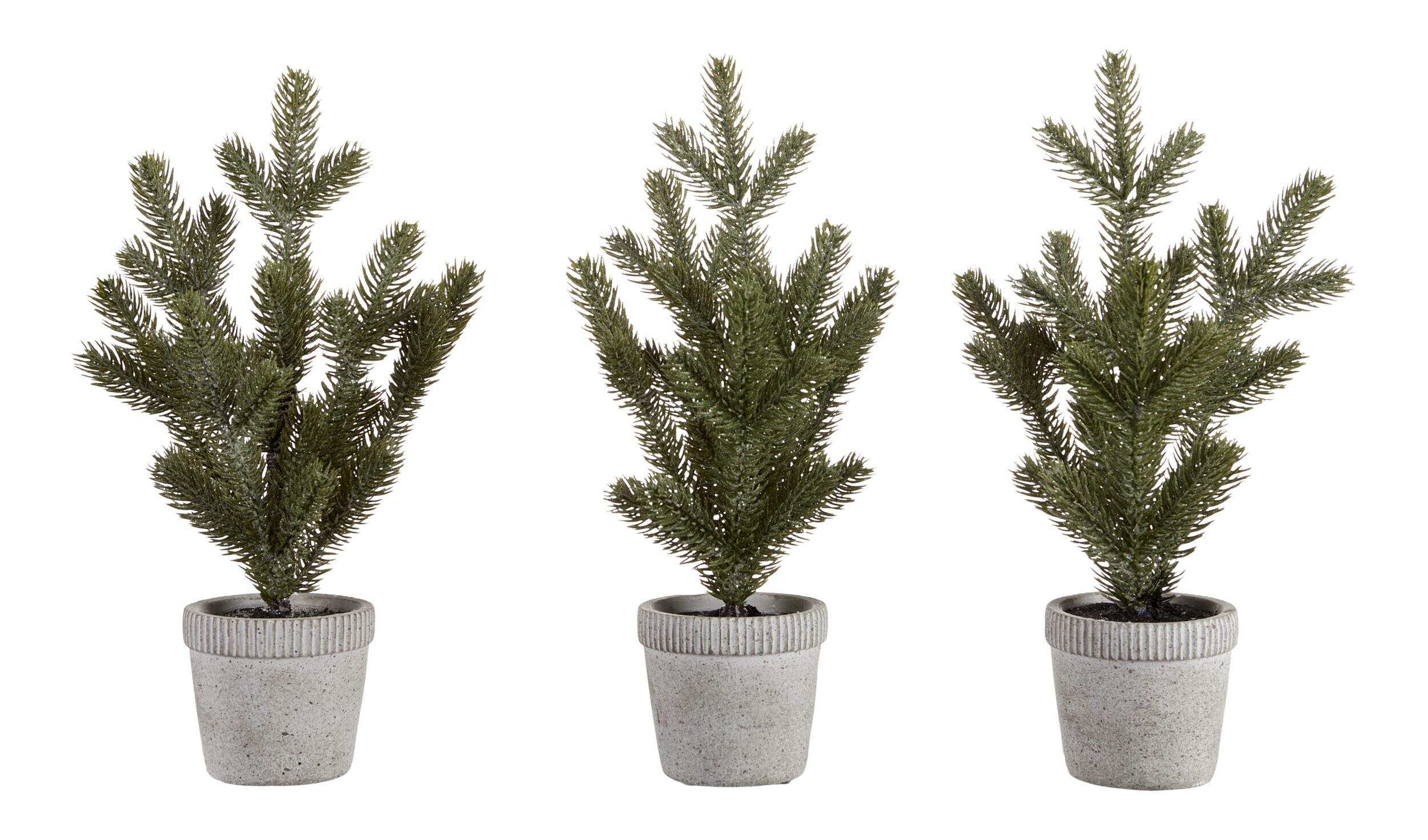 CANVAS Mini Trees in Ceramic Pots, 3-pk Front_Flat