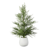 CANVAS Pre-Lit Tabletop Cedar Tree in White Ceramic Pot, 24-in Front_Flat