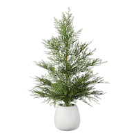 CANVAS Pre-Lit Tabletop Cedar Tree in White Ceramic Pot, 24-in Front_Flat