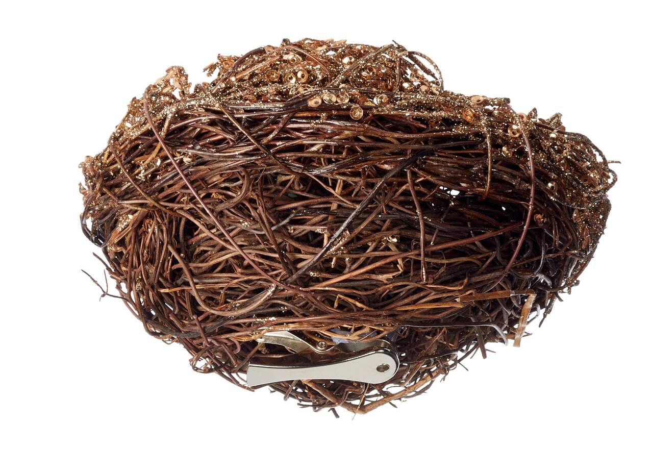 A Cute Bird Nest With Three Eggs Nestled Inside. Feathers Line the Rim of  Nest. Egg Colors and Shapes Vary -  Canada