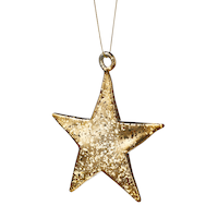 CANVAS Gold Collection Decoration Flat Foiled Star Christmas Ornament, 4-in