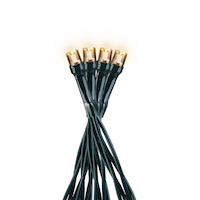 Lumières de Noël solaires à DEL For Living, 19 pi 6 po, blanc chaud, 100 CloseUp