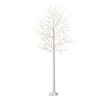 CANVAS 8' Birch Tree, Warm White Front_Flat