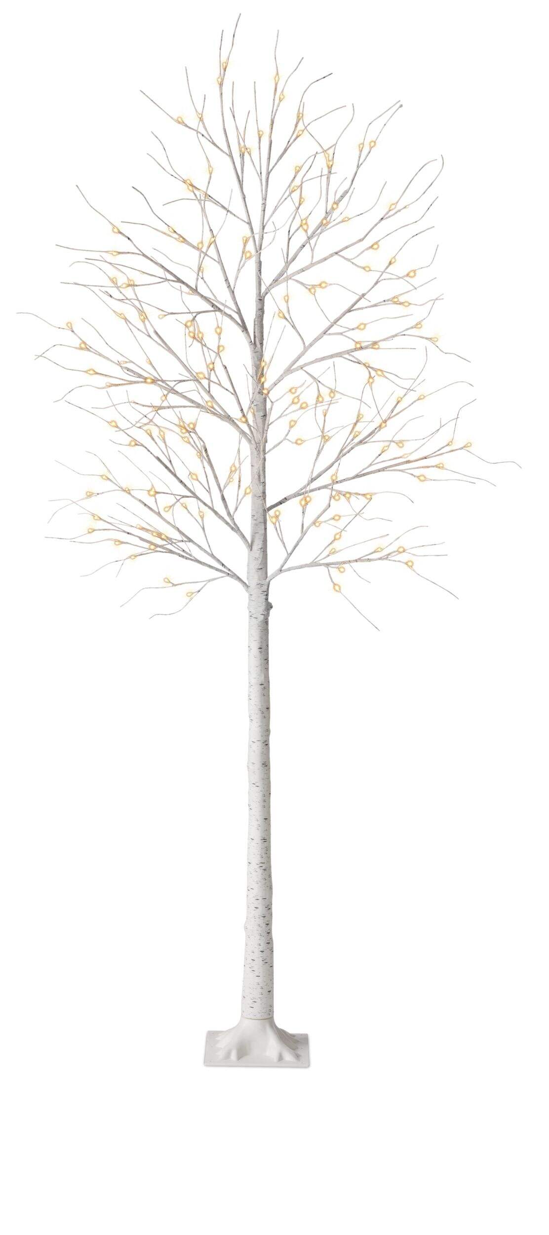 CANVAS 8' Birch Tree, Warm White Front_Flat