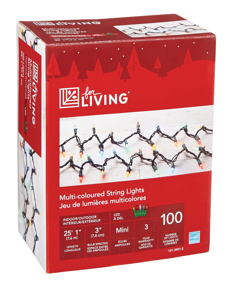 For Living Outdoor Christmas Lights, 100 Mini LED Lights, Multicolour