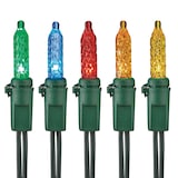 Mini-lumières d'extérieur à DEL For Living Winterguard, multicolore, paq. 100 CloseUp