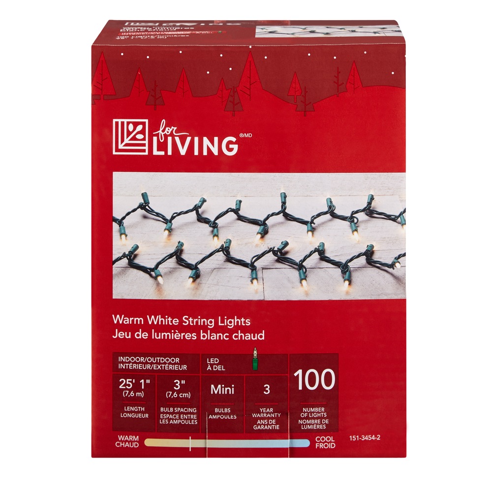 Ampoules des fêtes For Living, 100 miniampoules à DEL, blanc chaud