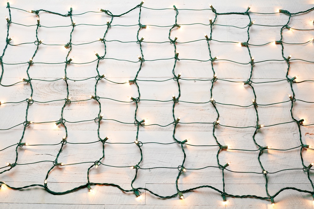 For Living Outdoor Christmas Lights Net, 100 Incandescent Lights, Clear