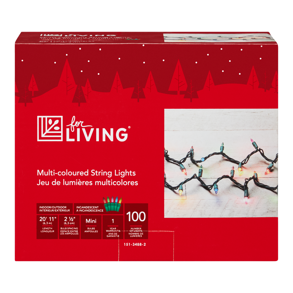 For Living Outdoor Christmas Lights, 100 Mini Incandescent Lights