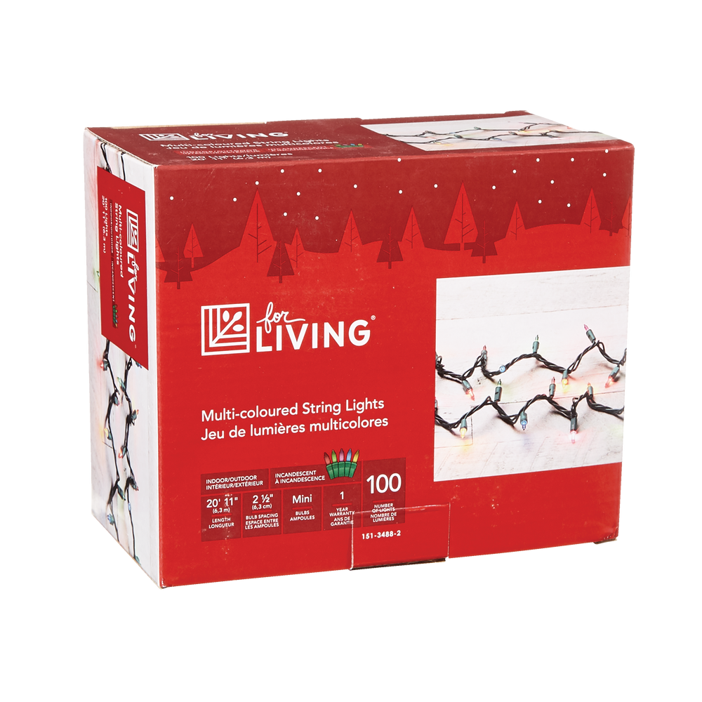 For Living Outdoor Christmas Lights, 100 Mini Incandescent Lights