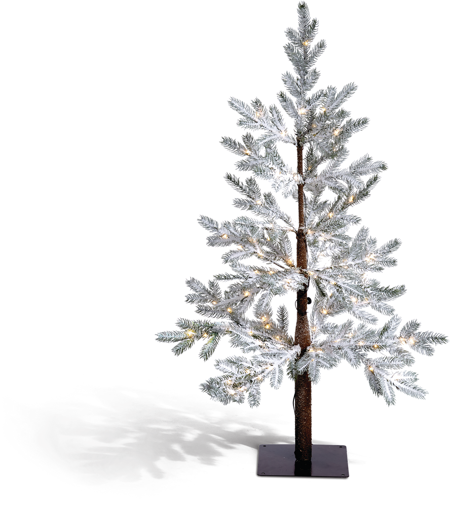 CANVAS East White Pine Tree, 4ft Canadian Tire