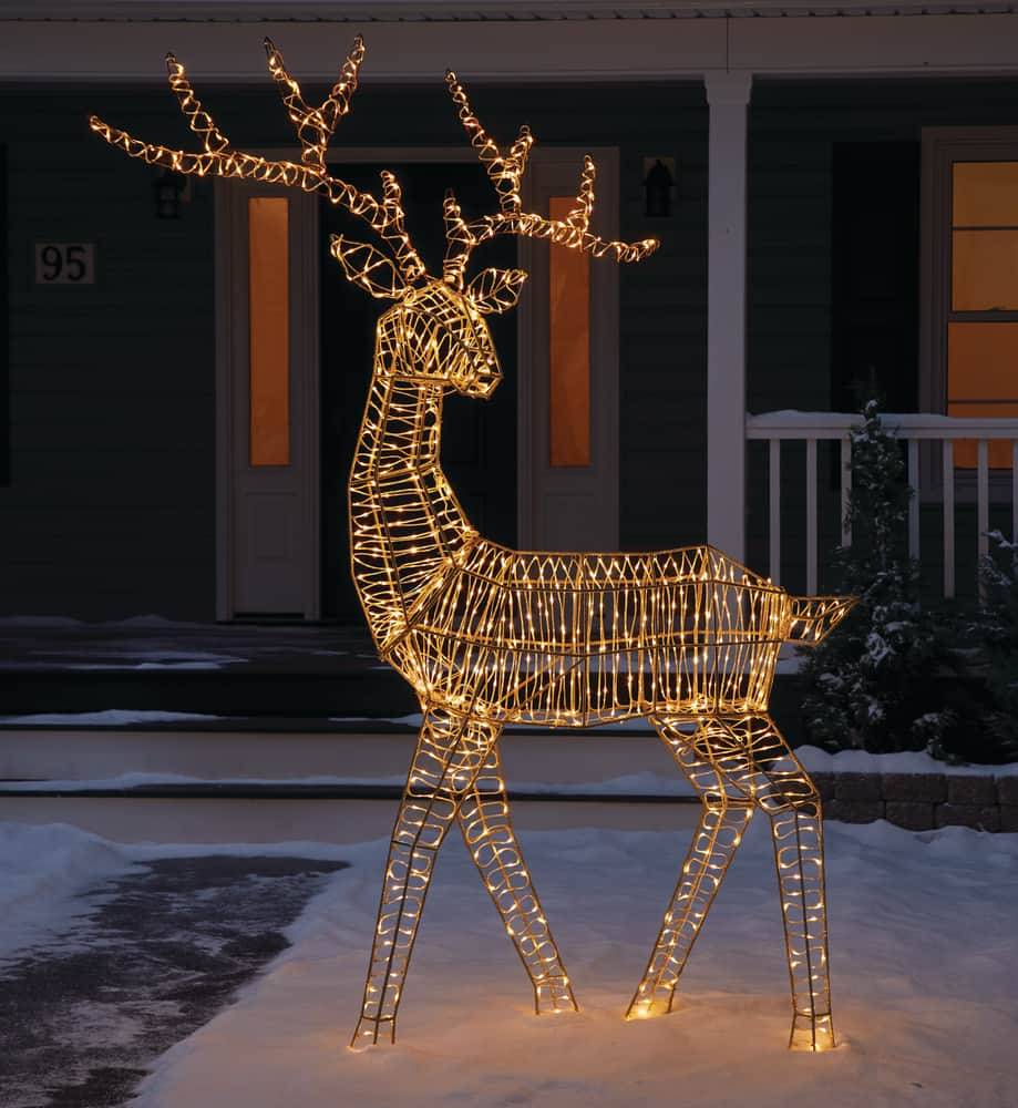 CANVAS LED Micro-Brite Buck, 8-ft | Canadian Tire