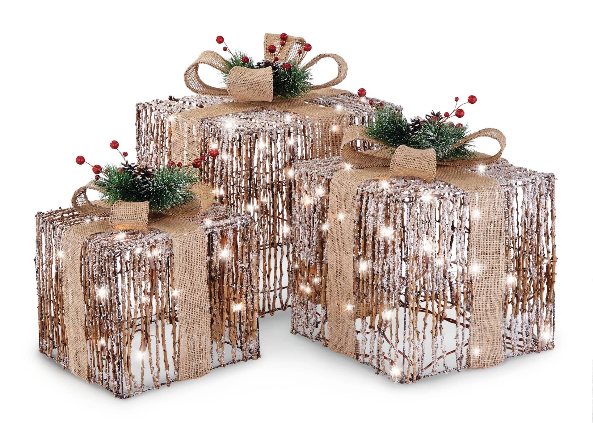 CANVAS Incandescent Frosted Gift Boxes, 3-pk