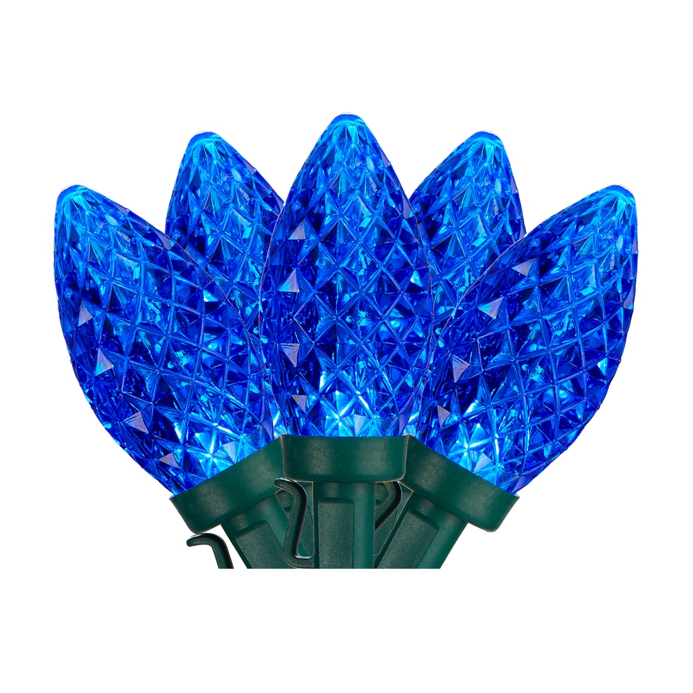 NOMA Indoor/Outdoor C9 String Christmas Lights, 25 LED Lights, Blue
