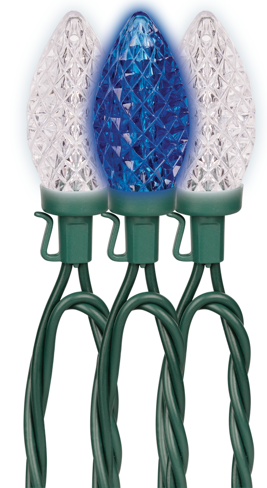 NOMA Indoor/Outdoor C9 String Christmas Lights, 24 LED Lights, Blue