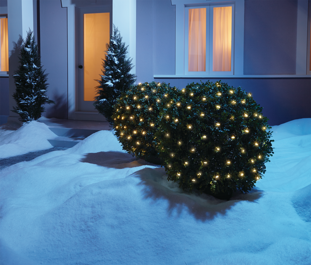 warm white and blue christmas lights