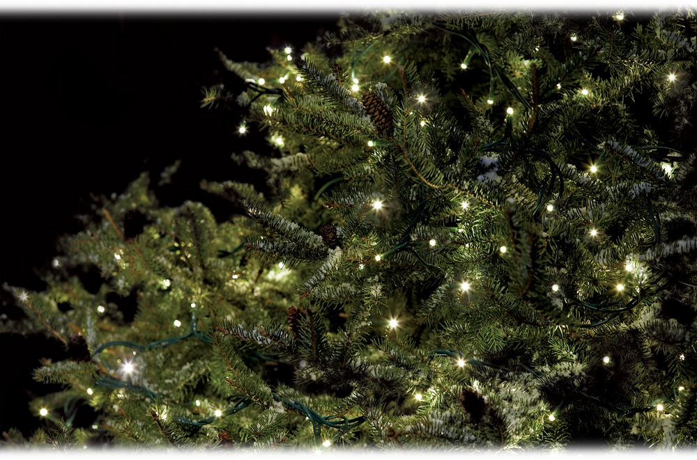 NOMA Advanced Cluster Christmas Lights, 150 Lights, Warm White, 25ft Canadian Tire NOMA Advanced Cluster Christmas Lights, 150 Lights, Warm White, 25ft Canadian Tire