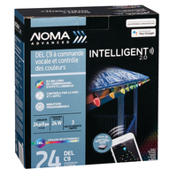 Lumières intelligentes à commande vocale NOMA Advanced C9 Front_Angled_Right