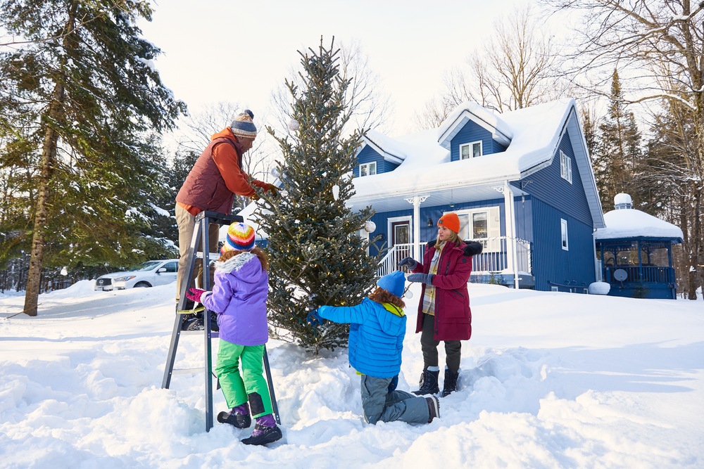 NOMA Advanced Lightshow 2.0 Christmas Lights, 50 ColourChanging LED