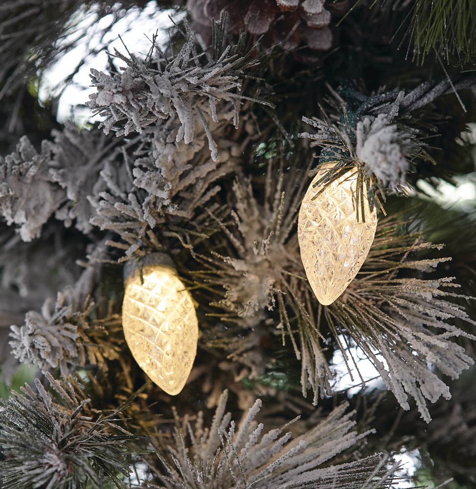 NOMA Outdoor 50 C9 LED Lights, Warm White Canadian Tire