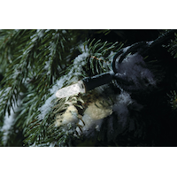 Mini-lumières à DEL NOMA Advanced EverTough, blanc pur, paq. 150 CloseUp