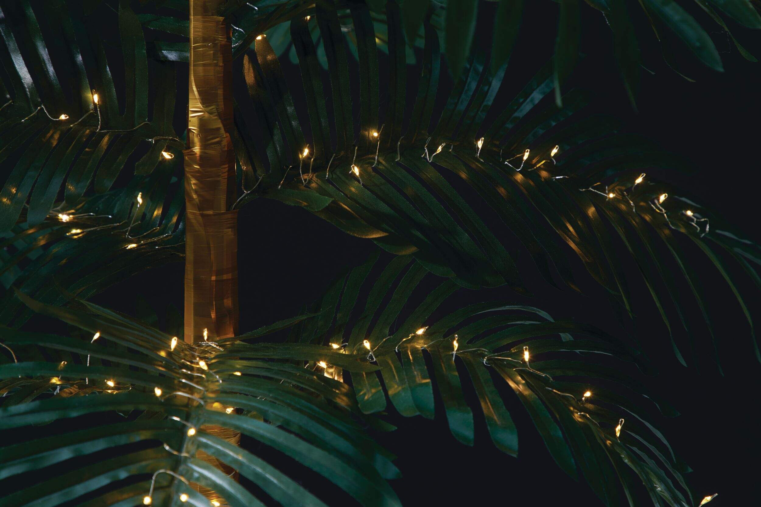 CANVAS 5'9" LED Palm Tree Canadian Tire