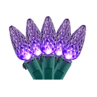 Lumières DEL Winterguard extérieur C6 NOMA, violet, paq. 70 CloseUp