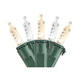 Mini-lumières d'extérieur à DEL NOMA Winterguard, blanc chaud/pur, paq. 70 CloseUp