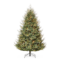 Arbre de Noël d'intérieur illuminé avec branches relevées et base CANVAS Noelle Fraser, 500 lumières à DEL miniatures, 7 pi. Front_Flat