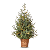 Épinette illuminée à branches ascendantes en panier CANVAS, 4 pi Front_Flat