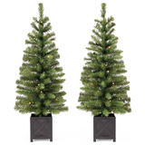 NOMA Pre-Lit Patton Potted Christmas Trees, 35 Warm White LED Lights, 3.5-ft, 2-pk Front_Flat