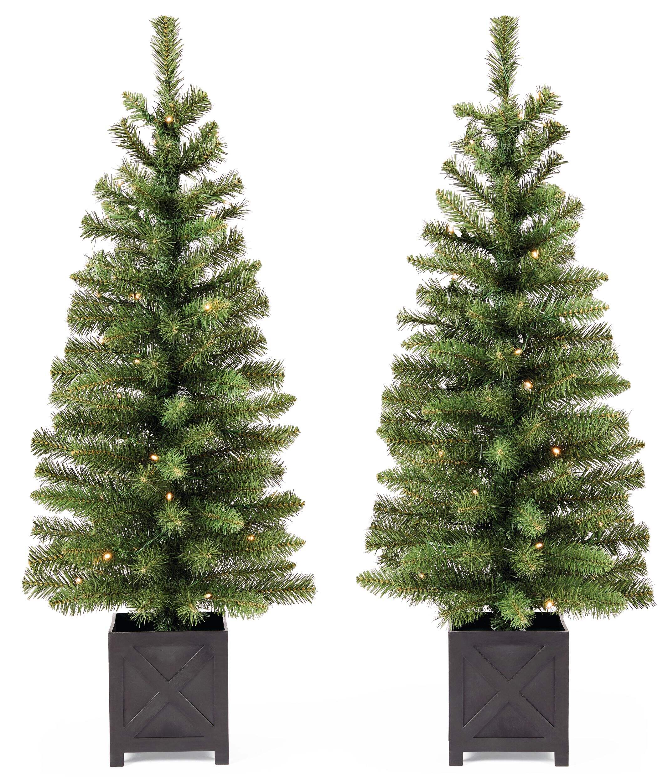 NOMA Pre-Lit Patton Potted Christmas Trees, 35 Warm White LED Lights, 3.5-ft, 2-pk Front_Flat
